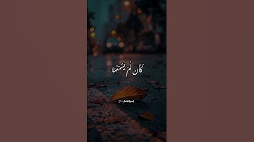 #سورة_لقمان #القرآن_الكريم #اكسبلور #لايك #ذكر_الله #القرآن #راحة_نفسية #حالات_واتس #تلاوة_خاشعة