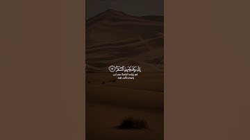 ماتيسر من سورة القيامة للقارئ الشيخ إدريس أبكر ♥️🌿
