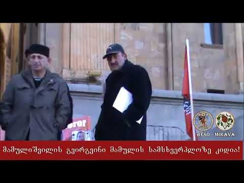 ეროვნული კომიტეტის მიტინგი რუსთაველზე