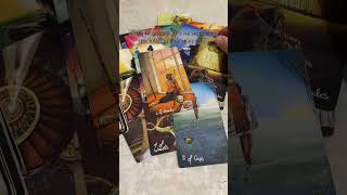 Любовный треугольник, почему❓ #таро #tarot  #таролог #тароонлайн #любовныйтреугольник