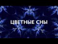 ЦВЕТНЫЕ СНЫ