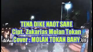 TENA DIKE NAOT SARE Cover MOLAN TOKAN BAHY