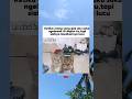 #memes #funny #shorts #fypシ゚viral