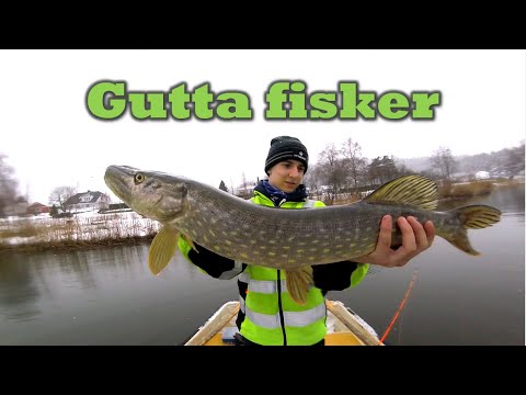 Video: Dodgy Pike - Gjeddefiske