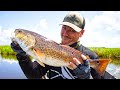 SIGHT FISHING for REDFISH in less than ideal conditions ( Louisiana Redfish Limit )