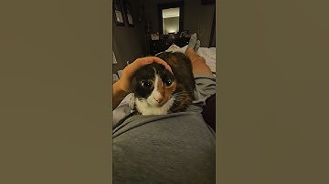 Thumbnail of Roxie's Cute Ears