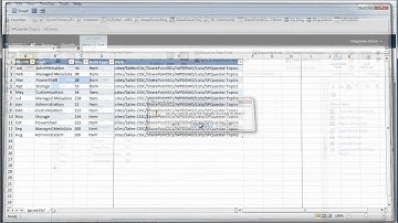 Exploring the Datasheet View Task Pane in SharePoint 2010 Lists