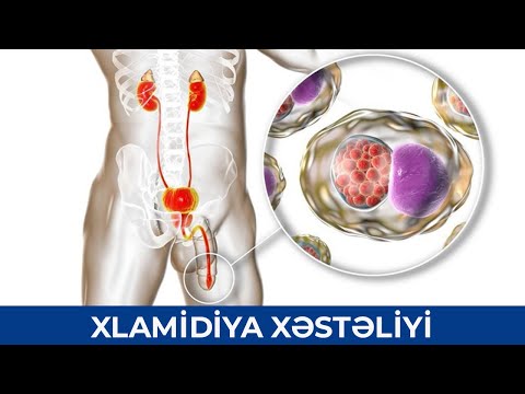 Video: Bakteriyalar cinsi və ya cinsi yolla çoxalır?