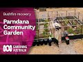 Parndana Community Garden | Bushfire recovery | Gardening Australia