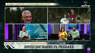 Adriana Bahmuțeanu și Silviu Prigoană, războiul orgoliilor în numele copiilor?