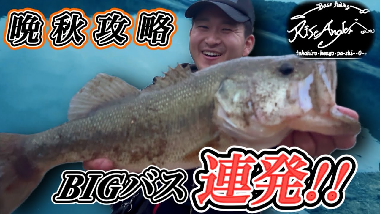 【bass fishing】BIGバス連発！晩秋攻略！！