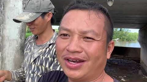 cá  ngát tự nhiên siêu to P4