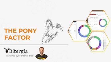 The Pony Factor Metric