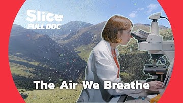 Microorganisms: The Tiny Life Above Our Heads | FULL DOC