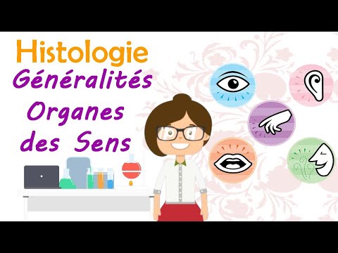 Histologie | généralités : les organes des sens .. cours de 2 ème année médecine