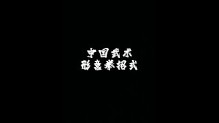 武术形意拳经典招式#中华武术博大精深 #青年创作者成长计划 #形意拳 #帅哥