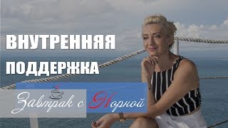 Внутренняя поддержка. Пушистые коты внутренней поддержки. Завтрак с Норной Внутренняя поддержка. Пушистые коты внутренней поддержки. Завтрак с Норной