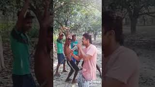 VID 20181031 WA0007