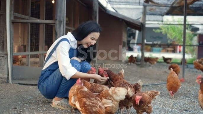 Бойжеткен транспорно видео болып шықты Nokia X2 үшін секс бейнелері