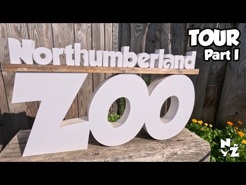 Video: Northumberland Zoo qhib thaum twg?