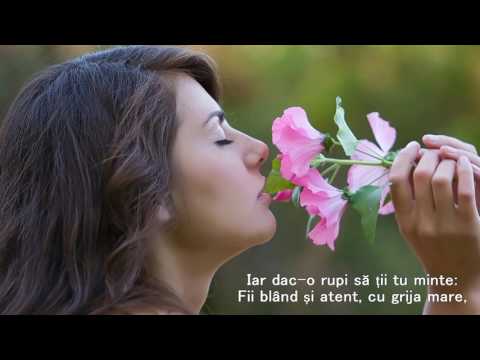 NU LĂSAȚI FLORILE SĂ PLÂNGĂ