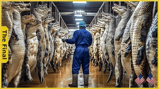 Famous The Alligator Farming Boom, U.S. Industry Rakes In $100 Million - Farming Documentary Net Worth