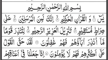 Surah Yasin Surah Rahman (Yaseen) سورة يس | Relaxing heart touching voice | e-199