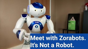 Meet Zorabots
