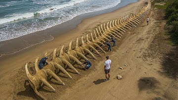 Hãy tránh xa Megalodon - Các nhà khoa học đã tìm thấy thứ gì đó lớn hơn