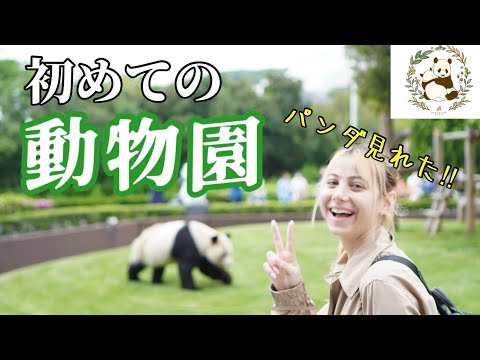人生初パンダを日本の動物園で見た外国人【和歌山アドベンチャーワールド】
