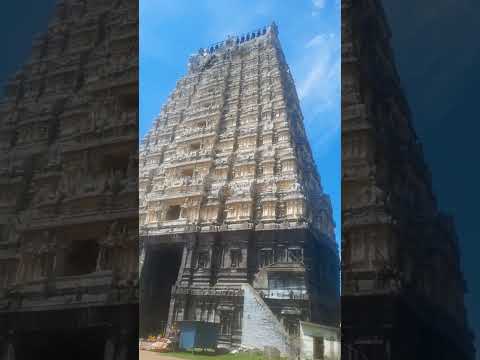 Video: Toptempels in Kanchipuram, Indië
