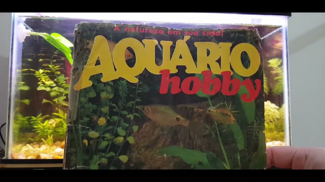 Aquarismo dicas das literaturas do passado com Peixe Betta ao fundo