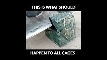 How to deal with Larsen Traps