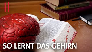 Wie funktioniert unser Gedächtnis? Dr. Mondino erklärt