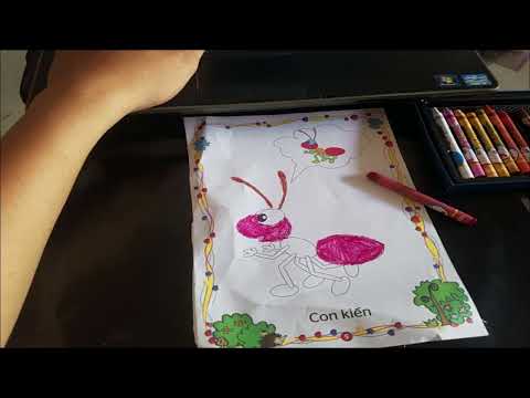Bút Sáp Màu Hồng Ân - hướng dẫn tô màu bằng bút sáp hồng ân
