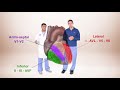 ECG for Beginners. ECG Diagnosis of ST Elevation Myocardial Infarction (STEMI)