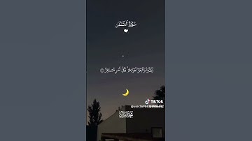 آيات من سوره القمر🎧🤍