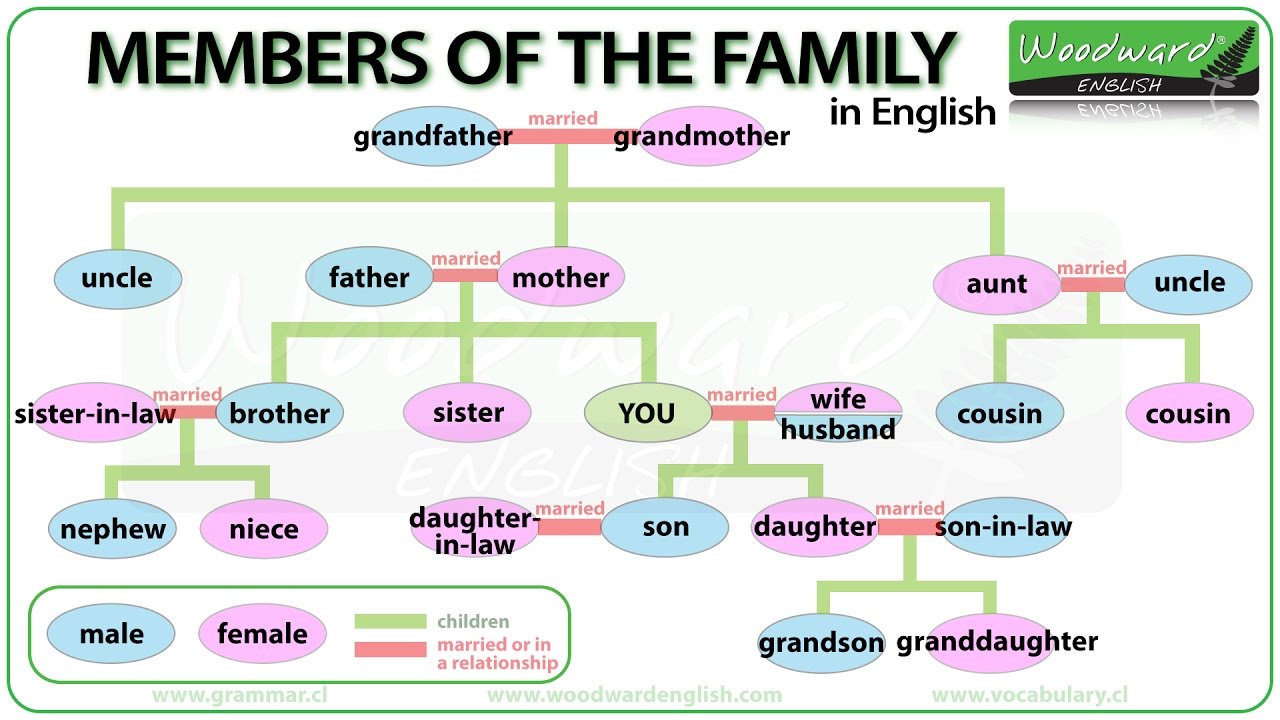 Family members in French | Les membres de la famille