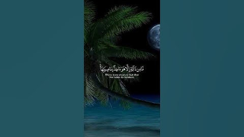 تلاوة موثرة جدا ماهر المعيقلي #قران_كريم #اكسبلور #تلاوة_خاشعة #تلاوة_خاشعة #دويتو #ماهر_المعيقلي