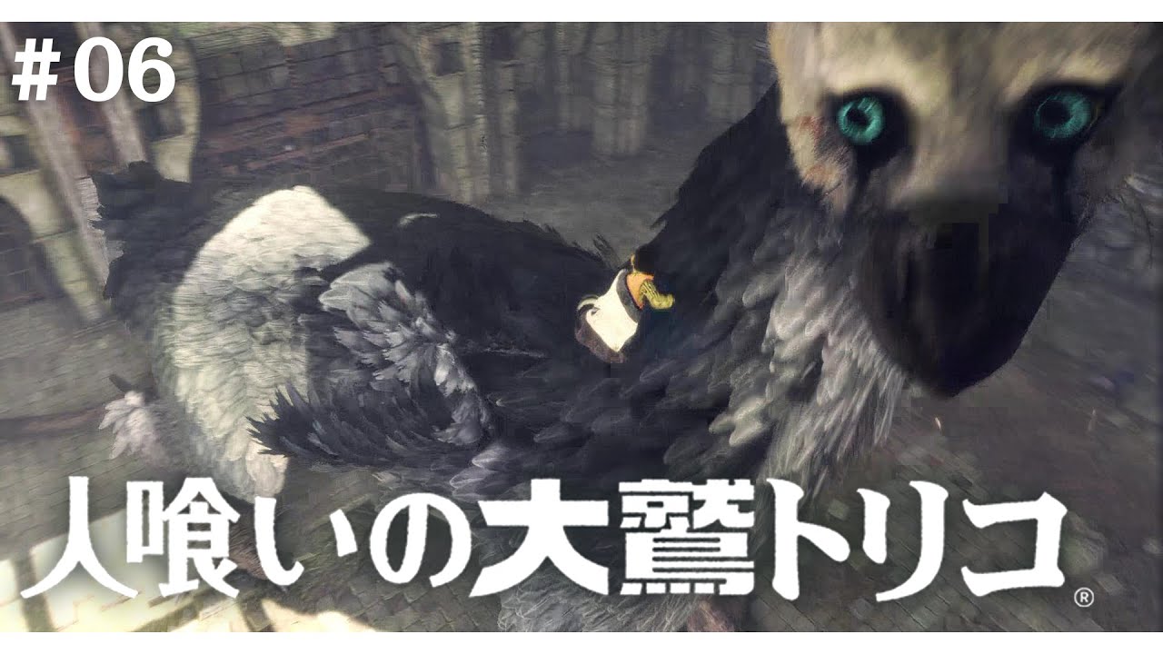 トリコとの決別…【人喰いの大鷲トリコ】#06
