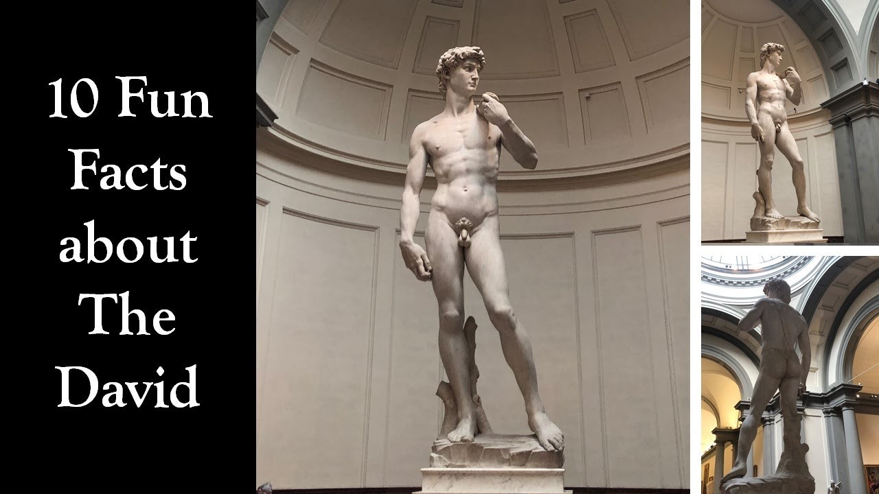 10 Fun Facts About The David By Michelangelo