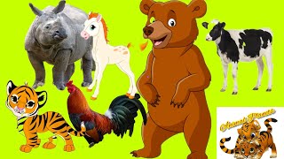 Learn about familiar animals, animal sounds and foods: cows, dogs, cats, chickens, elephants