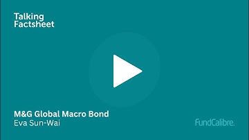 How the M&G Global Macro Bond fund fits into your portfolio