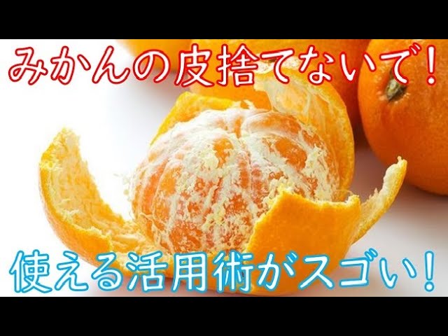 衝撃 みかんの皮を捨てるのはもったいない ミカンの皮の活用術がスゴい 知っておきたい健康雑学 Youtube 衝撃 みかんの皮を捨てるのはもったいない ミカンの皮の活用術がスゴい 知っておきたい健康雑学 Youtube