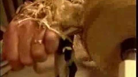 JET Tools - Lathe Projects - Turn A Bowl - Part 1 of 3