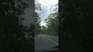 “Hidden Paradise Road in Queensland 🇦🇺#MountGlorious #MountGlorious #QueenslandRoads #AustraliaDrive