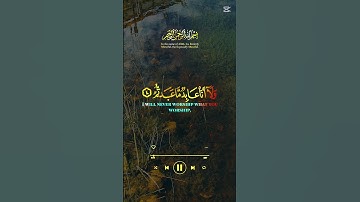 #القرآن الكريم