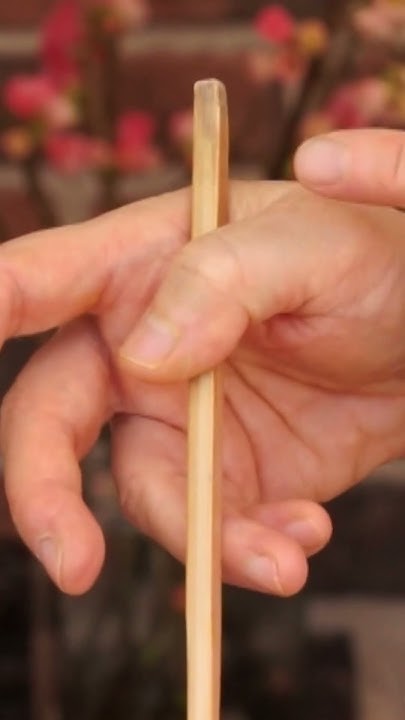Comment tenir les baguettes chinoises ? #shorts - YouTube