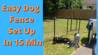 Best Easy Dog Fence 15 Min Install