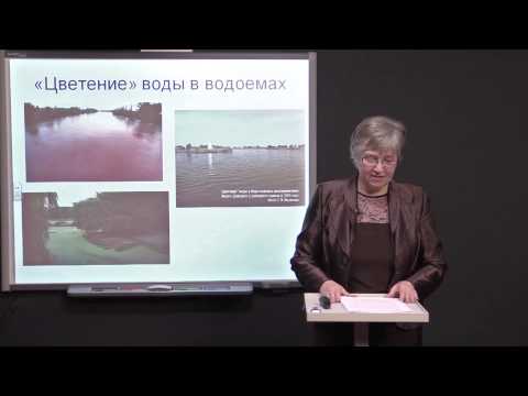 Видео: Управление водными гиацинтами - Как контролировать водяные гиацинты в прудах